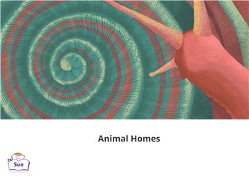 Animal Homes【有聲】