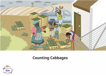 Counting Cabbages【有聲】
