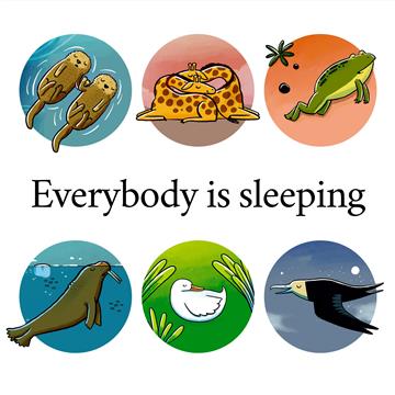 Everybody is Sleeping