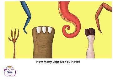 How Many Legs Do You Have?