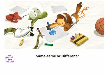 Same-same or Different?