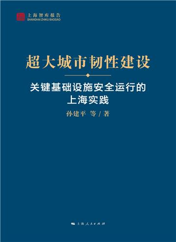 超大城市韧性建设