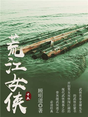 荒江女侠（十五）