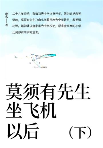 莫须有先生坐飞机以后（下）