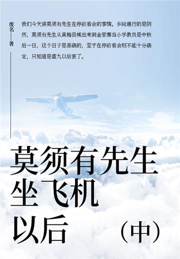 莫须有先生坐飞机以后（中）