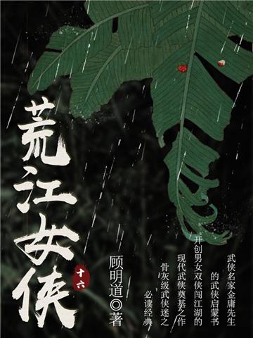 荒江女侠（十六）