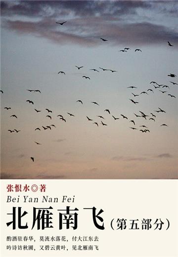 北雁南飞．第五部分