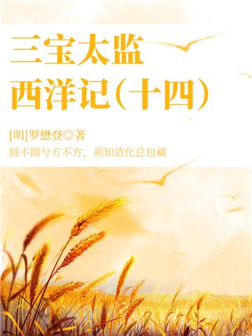 中国古代奇幻经典小说：三宝太监西洋记（十四）