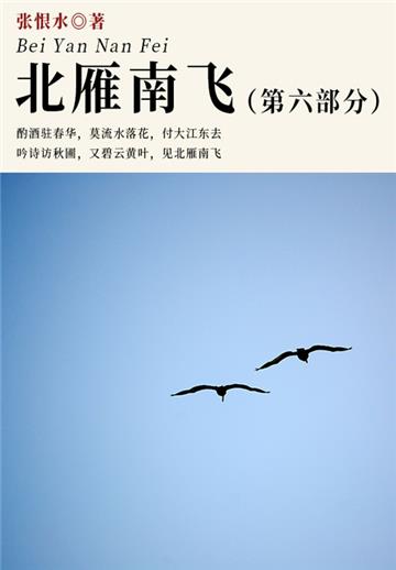 北雁南飞．第六部分