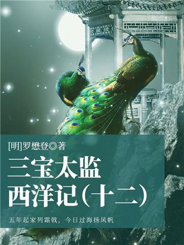 中国古代奇幻经典小说：三宝太监西洋记（十二）