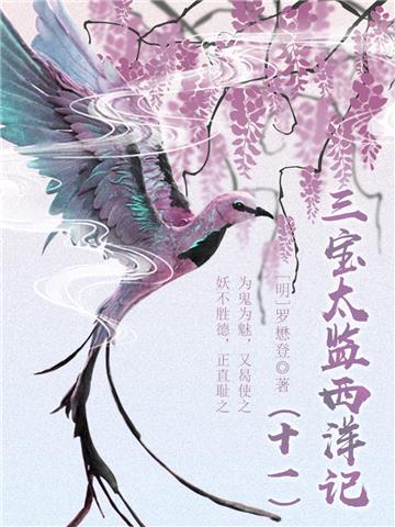 中国古代奇幻经典小说：三宝太监西洋记（十一）