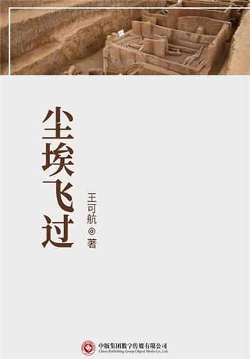 尘埃飞过