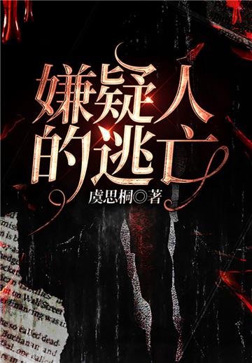 嫌疑人的逃亡