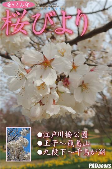 遊々さんぽ　「桜びより」